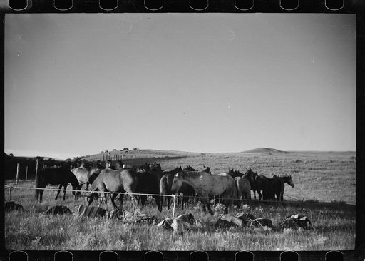 Untitled photo, possibly related to: Rope corral, Quarter Circle U roundup, Big Horn County, Montana