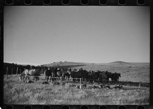 Untitled photo, possibly related to: Rope corral, Quarter Circle U roundup, Big Horn County, Montana