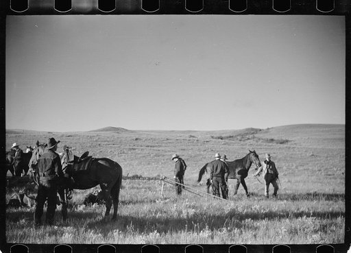 Untitled photo, possibly related to: Rope corral, Quarter Circle U roundup, Big Horn County, Montana