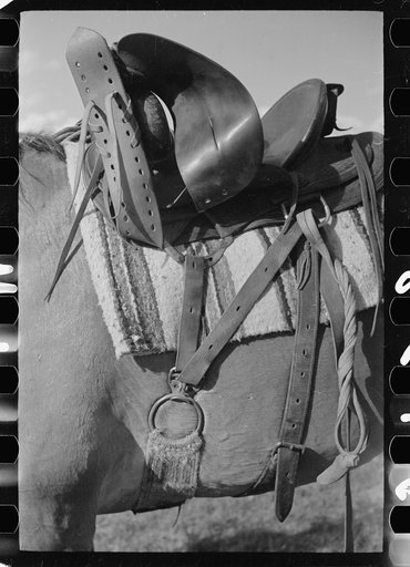 Detail of cinch of saddle, Quarter Circle U Ranch, Big Horn County, Montana