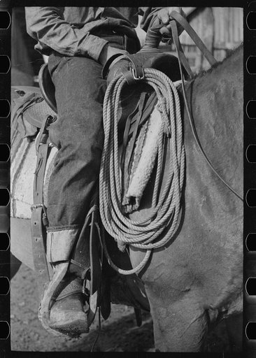 Lariat on saddle, Quarter Circle U Ranch, Big Horn County, Montana