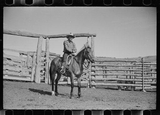 Untitled photo, possibly related to: Cowboy mounting horse, Quarter Circle U Ranch, Big Horn County, Montana