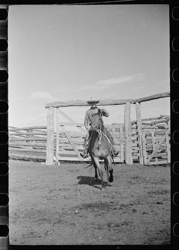 Untitled photo, possibly related to: Cowboy mounting horse, Quarter Circle U Ranch, Big Horn County, Montana