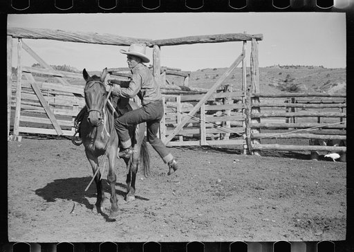 Cowboy mounting horse, Quarter Circle U Ranch, Big Horn County, Montana