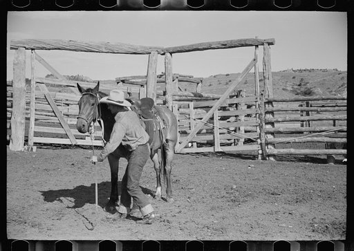 Untitled photo, possibly related to: Cowboy mounting horse, Quarter Circle U Ranch, Big Horn County, Montana