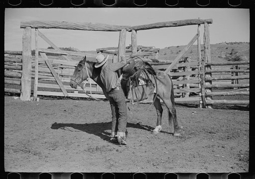 Saddling a horse, Quarter Circle U Ranch, Big Horn County, Montana