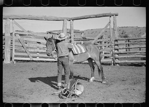 Saddling a horse, Quarter Circle U Ranch, Big Horn County, Montana