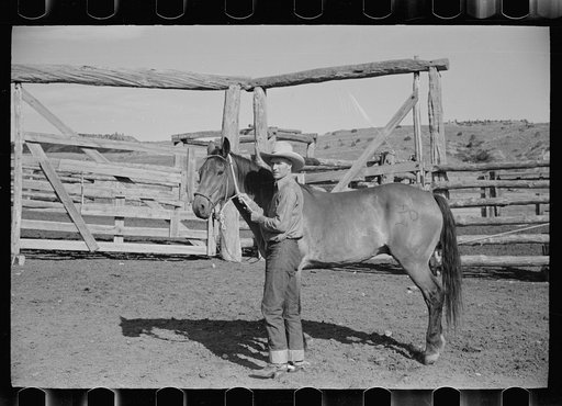 Horse about to be saddled, Quarter Circle U Ranch, Big Horn County, Montana