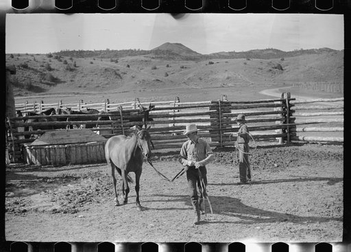 Untitled photo, possibly related to: Using the snubbing post, Quarter Circle U Ranch, Big Horn County, Montana