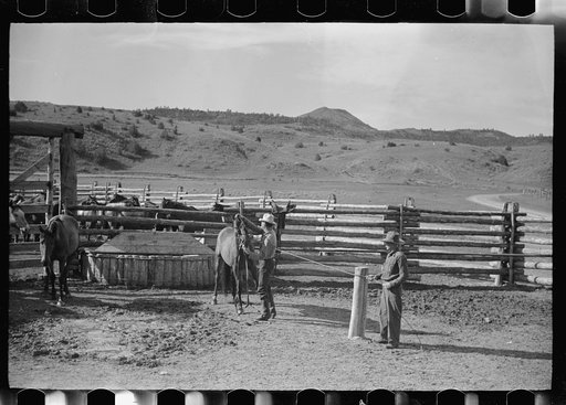 Untitled photo, possibly related to: Using the snubbing post, Quarter Circle U Ranch, Big Horn County, Montana