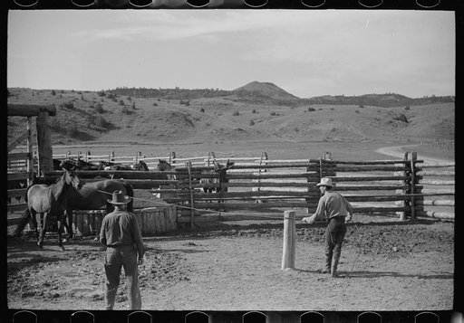 Using the snubbing post, Quarter Circle U Ranch, Big Horn County, Montana