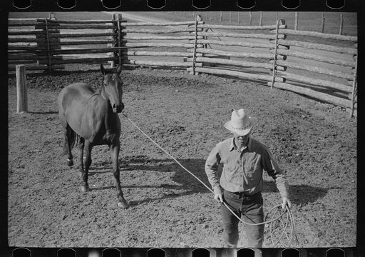 Leading a roped horse, Quarter Circle U Ranch, Big Horn County, Montana