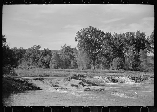 Brush dam at Quarter Circle U Ranch, on Tongue River, Montana