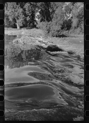 Brush dam at Quarter Circle U Ranch, on Tongue River, Montana
