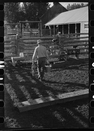 Cowboy with milkstool and pail, Quarter Circle U Ranch, Big Horn County, Montana