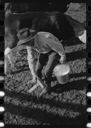 Untitled photo, possibly related to: Cowboy with milkstool and pail, Quarter Circle U Ranch, Big Horn County, Montana