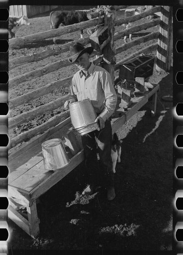 Untitled photo, possibly related to: Cowboy with milkstool and pail, Quarter Circle U Ranch, Big Horn County, Montana