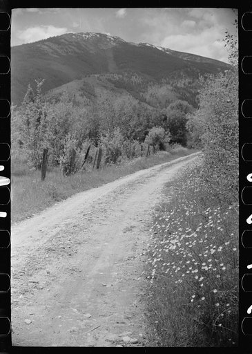 Rural road, Ravalli County, Montana