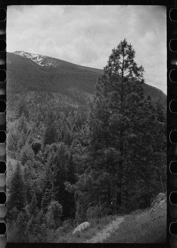 Untitled photo, possibly related to: Rural road, Ravalli County, Montana