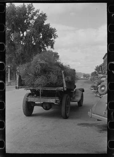Truckload of tumbleweed, Forsyth, Montana