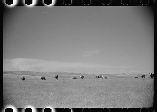 Untitled photo, possibly related to: Beer parlor, Birney, Montana