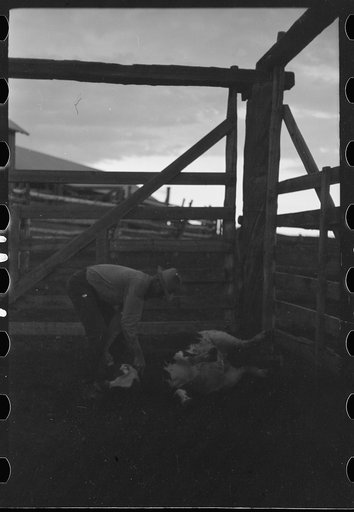 Untitled photo, possibly related to: Beer parlor, Birney, Montana