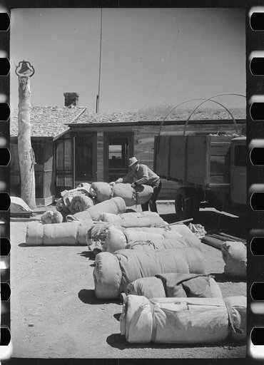 Bedrolls used in the roundup, Quarter Circle U Ranch, Big Horn County, Montana