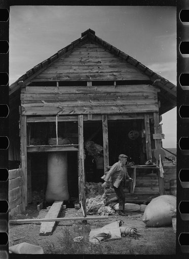 Untitled photo, possibly related to: Moving bag of wool, Rosebud County, Montana