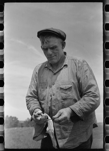 Untitled photo, possibly related to: Sheepshearer cleans blade of his shears, Rosebud County, Montana