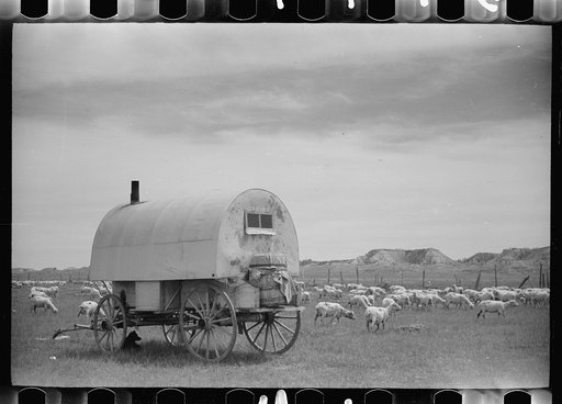Untitled photo, possibly related to: Sheepherder's wagon, Rosebud County, Montana