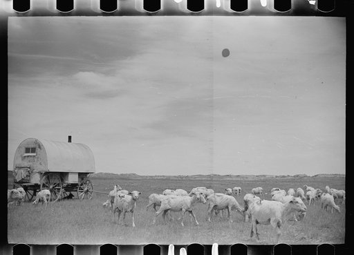 Untitled photo, possibly related to: Sheepherder's wagon, Rosebud County, Montana