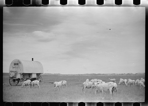 Untitled photo, possibly related to: Sheepherder's wagon, Rosebud County, Montana