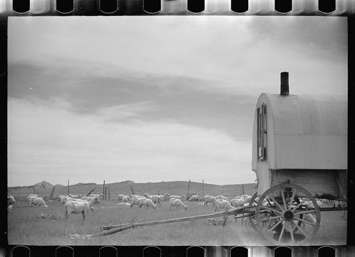 Sheepherder's wagon, Rosebud County, Montana