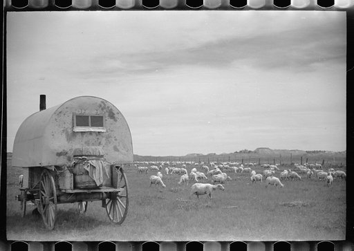 Untitled photo, possibly related to: Sheepherder's wagon, Rosebud County, Montana