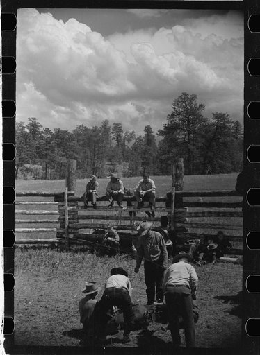 Untitled photo, possibly related to: Branding, Three Circle roundup, Custer National Forest, Montana