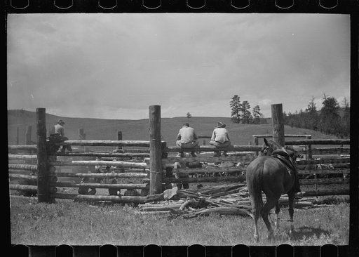 Untitled photo, possibly related to: Branding, Three Circle roundup, Custer National Forest, Montana