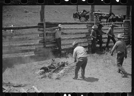 Removing branding irons from fire, Three Circle roundup, Custer National Forest, Montana