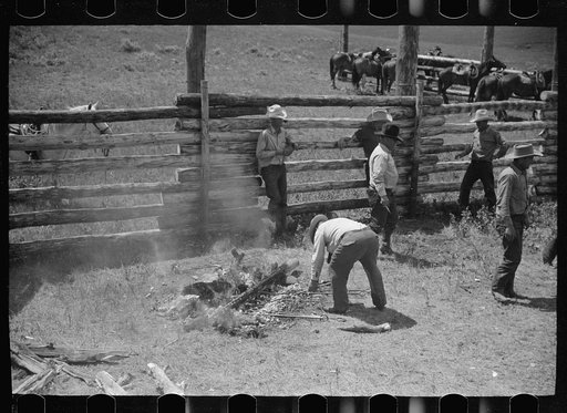 Untitled photo, possibly related to: Removing branding irons from fire, Three Circle roundup, Custer National Forest, Montana