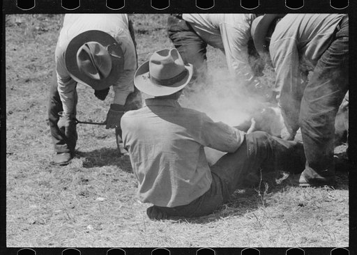 Untitled photo, possibly related to: Branding, Three Circle roundup, Custer National Forest, Montana