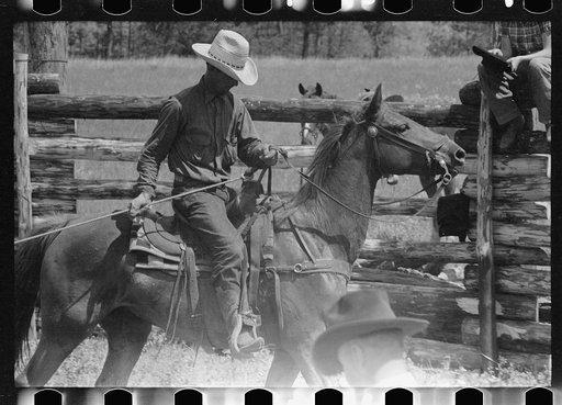 Untitled photo, possibly related to: Roping a calf, Three Circle roundup, Custer National Park, Montana