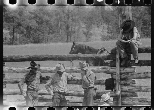 Untitled photo, possibly related to: Branding calf, Three Circle roundup, Montana