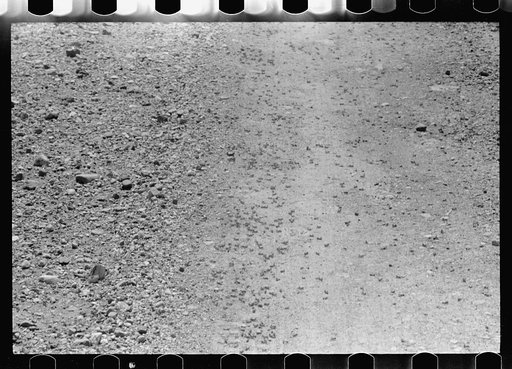 Untitled photo, possibly related to: Grasshoppers, Richland County, Montana