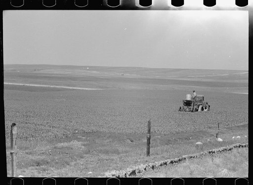 Untitled photo, possibly related to: Farmers spreading poison grasshopper bait, Richland County, Montana