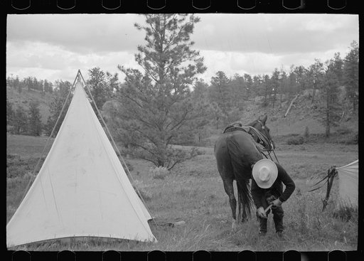 Untitled photo, possibly related to: Saddling a horse at Three Circle roundup, Custer National Forest, Montana