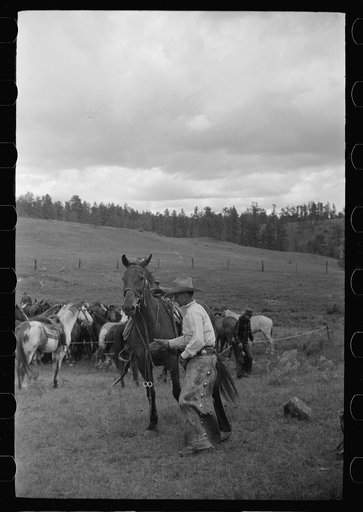 Untitled photo, possibly related to: Saddling a horse at Three Circle roundup, Custer National Forest, Montana