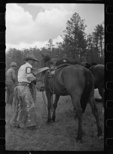 Saddling a horse, Three Circle roundup, Custer National Forest, Montana