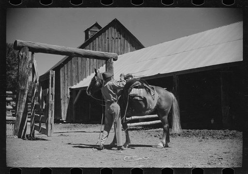 Untitled photo, possibly related to: Jack Arnold saddling a horse, Quarter Circle U Ranch, Montana