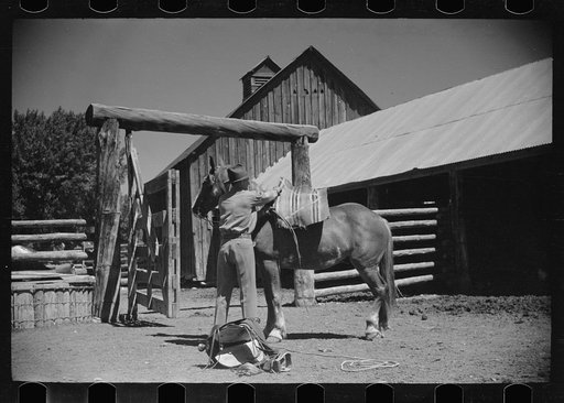 Untitled photo, possibly related to: Jack Arnold saddling a horse, Quarter Circle U Ranch, Montana