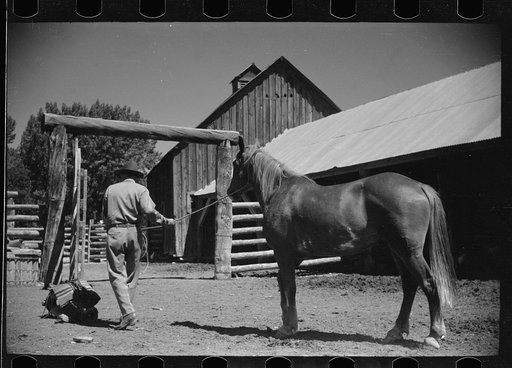 Untitled photo, possibly related to: Jack Arnold saddling a horse, Quarter Circle U Ranch, Montana