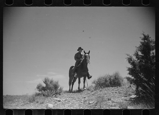 Untitled photo, possibly related to: Jack Arnold looking over the Quarter Circle U Ranch which he owns, Rosebud County, Montana